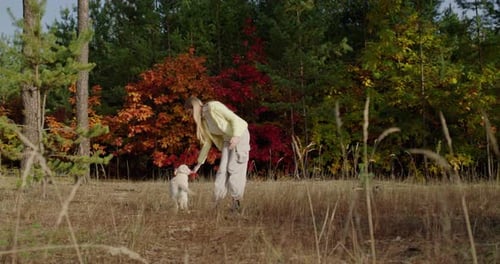 Teenage Girl Playing with a Dog in a Picturesque Autumn Forest