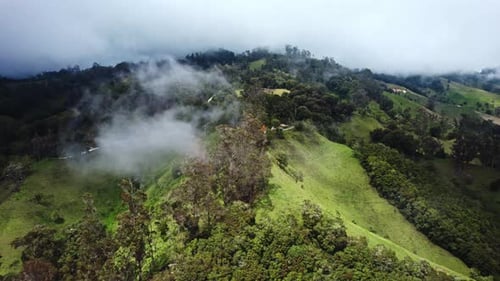 Serene Cloud Forest, Hills and Scenic Highlands in the Andes - Tolima, Colombia