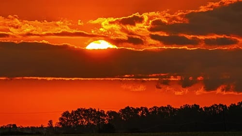 Awesome sunrise of a big bright sun, red light sky and black silhouette of trees, clouds passing