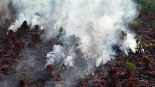 Aerial View of Forest Fire with Smoke and Flames