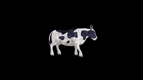 Banteng Idle2