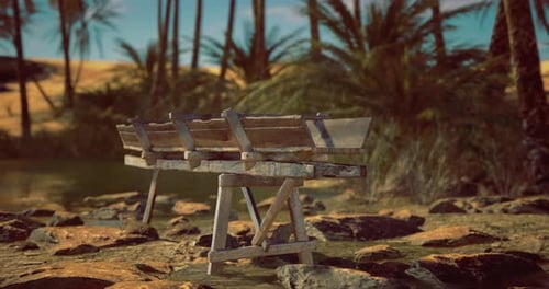Banc en bois près d'un plan d'eau tranquille entouré de palmiers au coucher du soleil