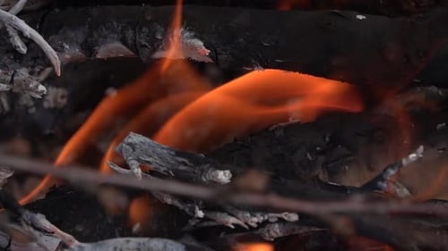 Wood on fire, close up on flames at night