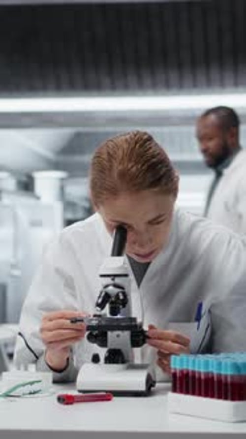 Woman Examines Sample Under Microscope in the Laboratory