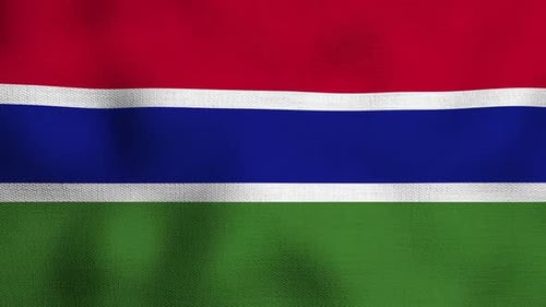 Realistic Waving National Flag Seamless Loop Background