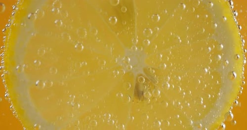 Lemon Slice Refreshing in Bubbly Drink
