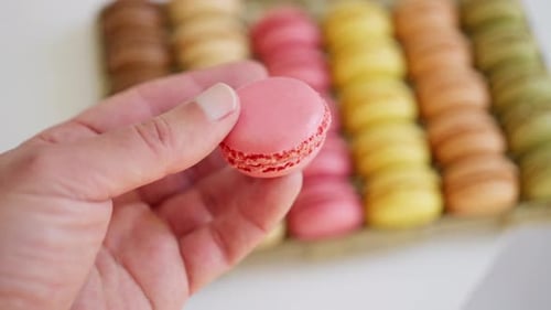 A Beautiful Display Showcasing a Colorful Variety of Macarons in a Bakery Setting A Hand Delicately
