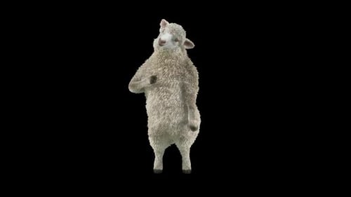 Funny Dancing Sheep Standing Upright with Alpha Channel