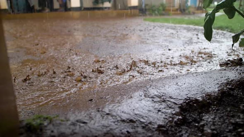 Rain hitting mud puddle // slow motion, Nature Stock Footage ft. muddy ...
