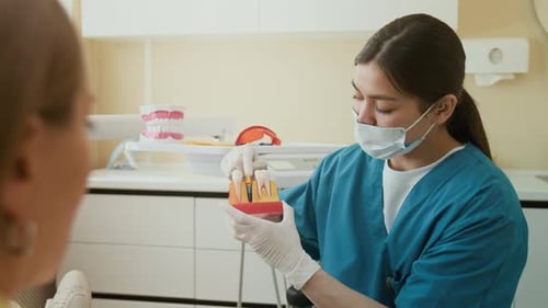Dentist Demonstrates Dental Implant to Patient