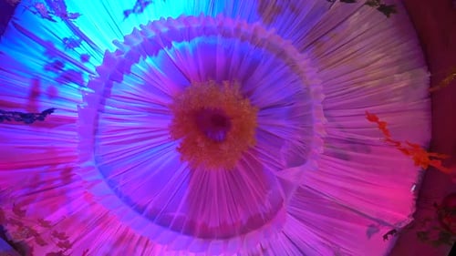 In Dehradun Uttarakhand India Marriage ceremony hall view.