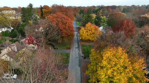 Quiet residential district in American suburbs. Homes in autumn with colorful leaves on trees. Fall