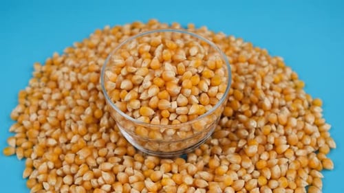 popcorn seeds rotating