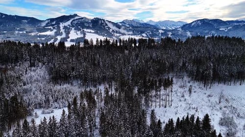 Snow covers the meadows, pine tree woods and mountains.