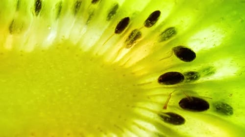 Abstract Slice of Kiwi Fruit Macro Close Up