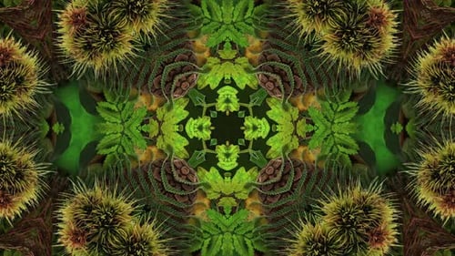 Seasonal Leaves Pattern 02