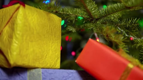 Festive Christmas Gifts Under an Illuminated Tree