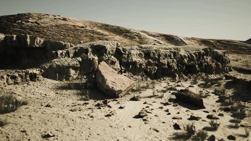 Exploring the Rugged Terrain of Mongolia During the Serene Midday Light