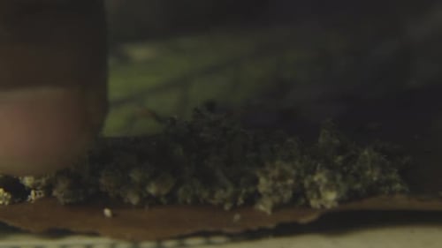 close up of a black mans finger lining up the ground cannabis bud to prepare to roll a blunt of mari