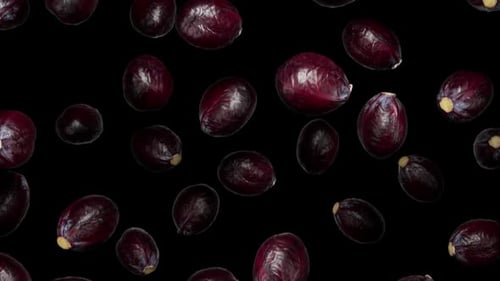 Falling Red Cabbage Loop Background Animation