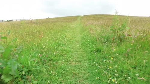 Nature And Environment Concept - Summer Field And Path Going To Hill