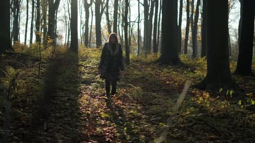Woman in Black Jacket Lonely Walking in Park in Autumn