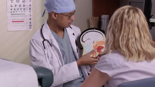 Doctor consults with patient using medical model in hospital office