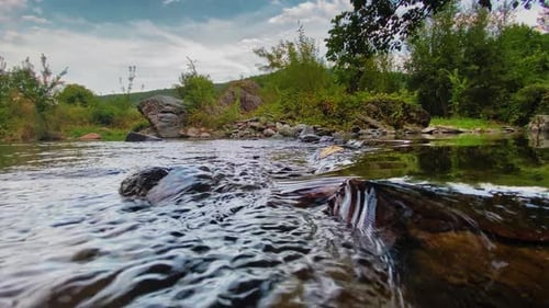 beautiful river in sunny day on sunset with no person clear water