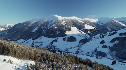 Snowy Pine Trees In The Forest In Schattberg Mountain In Winter In Kitzbuhel Alps, Salzburg, Austria