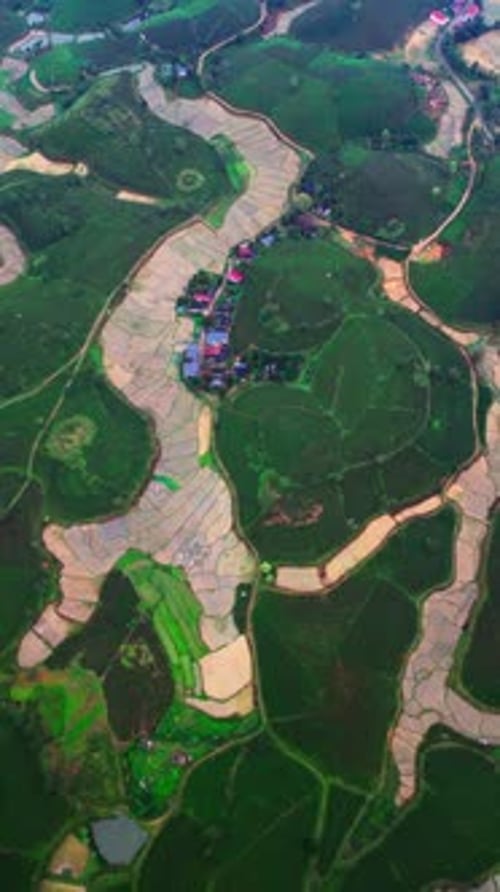 Vertical Drone Panorama of Tea Plantation Hills and Flooded Rice Paddies in Rural Vietnam Village