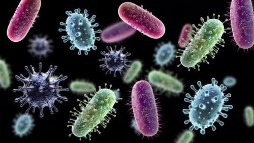 Floating 3D Microorganisms: Bacteria and Virus Animation