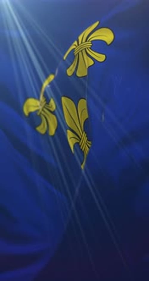Elegant Blue Fleur-de-lis Flag Waving with Light Rays