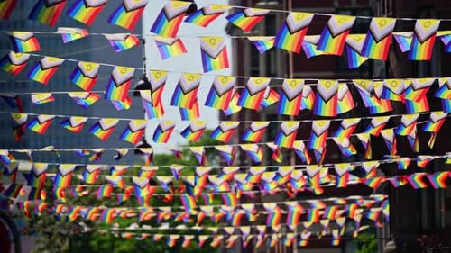 Rainbow Flags Decoration for LGBTQ Pride Month