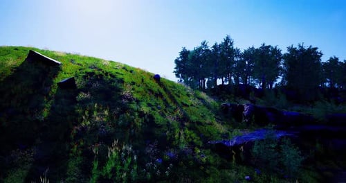 Colline verte vibrante sous la lumière du soleil avec des arbres en arrière-plan