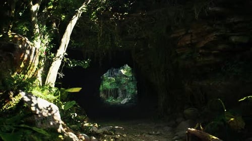 Túnel forestal denso en Indonesia