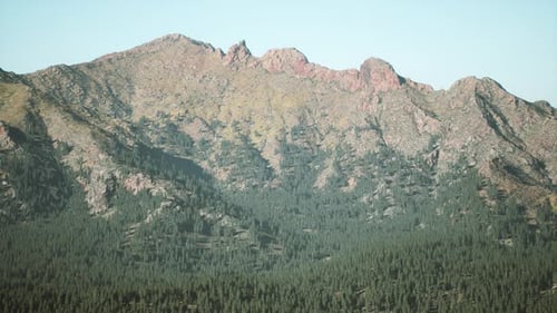 Spruce and Pine Trees and Mountains of Colorado