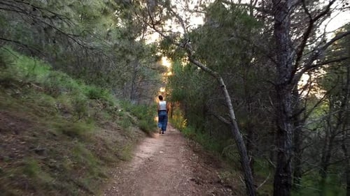 woman hiking outdoors in nature walking, strolling, wandering at the countryside, forest or woods