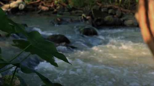 the beauty of the river with a natural background