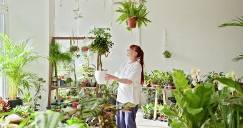 Woman Holds Potted Plant in Apartment Filled with Plants