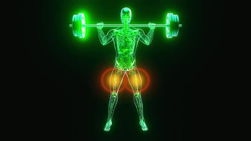 Futuristic Glowing Human Anatomy Performing Squats with Barbell