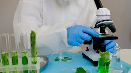 Scientist Adjusting Microscope in a Lab with Plants