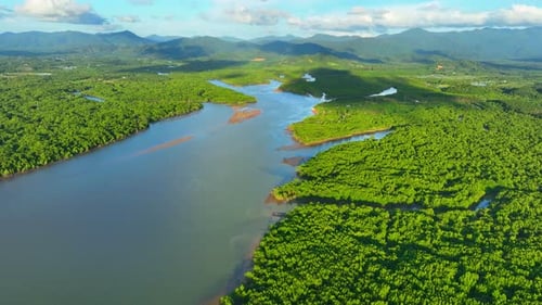 Endless beauty: Thailand's mangrove forests captivate from above.