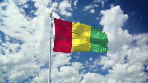 Guinea Realistic Waving 4k