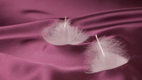 White Feathers Gently Falling on Pink Satin Fabric