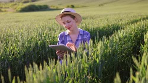 Farmer Using Tablet in Field