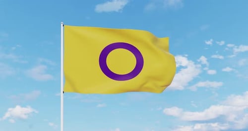 Intersex Pride Flaggenwellen im Wind
