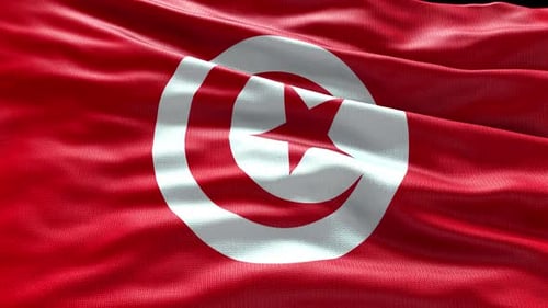 Realistic Waving Tunisian Flag Loop for International Broadcasts