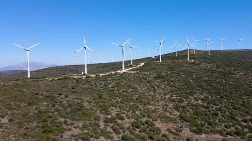 Wind Energy Roses