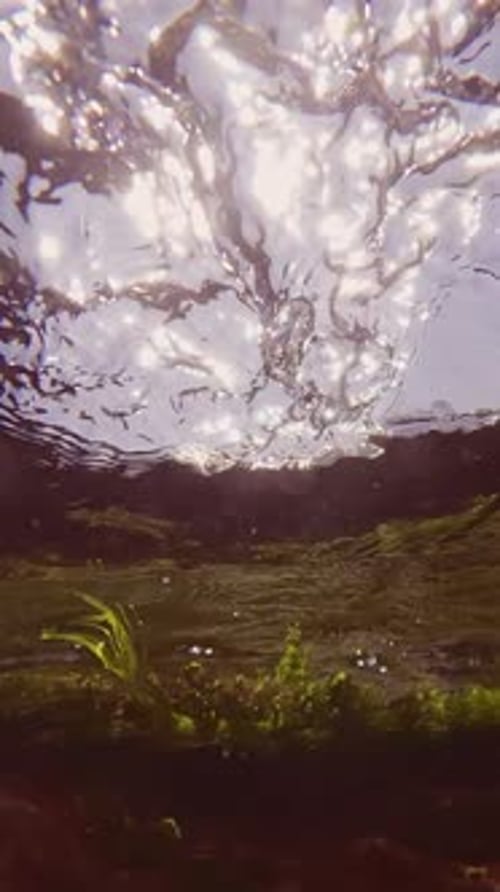 turbulente Strömung auf der Wasseroberfläche bei Flut in der Küstenzone über Grün- und Rotalgen