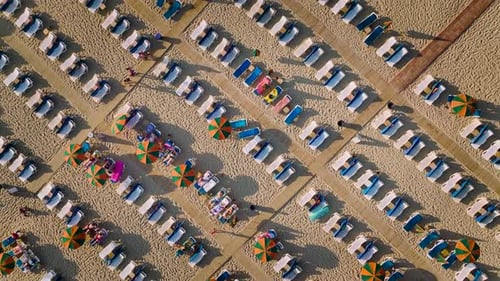 Aerial View Seaside Oasis Sun Loungers and Shoreline Bliss